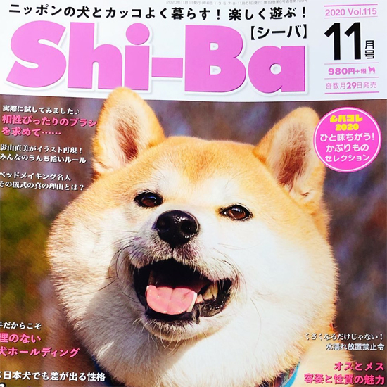 犬に優しいドッグフード専門店ネイティブドッグ本店